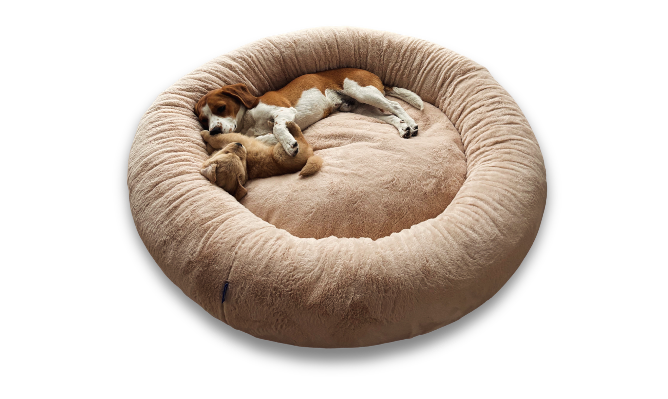 Cama antiestrés talla XL